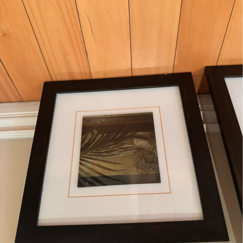 Elegant Black Framed Art Print
